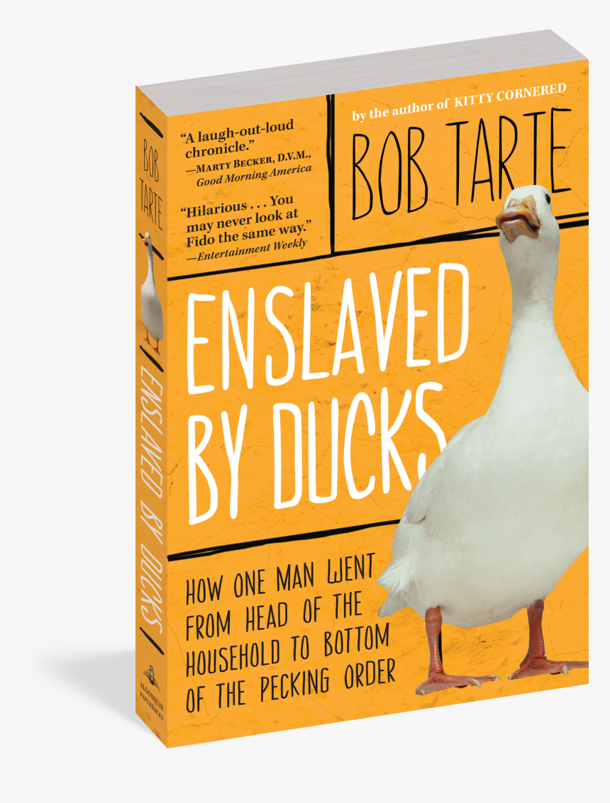 Cover, HD Png Download