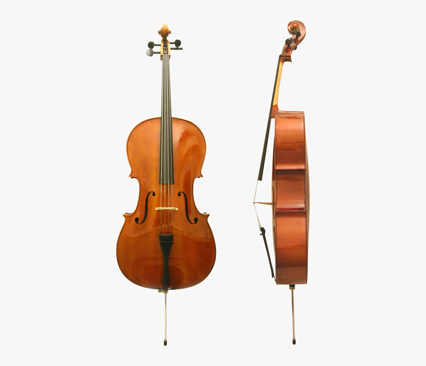 Fugue Cello Fc-1000 - Parts Of A Cello, HD Png Download