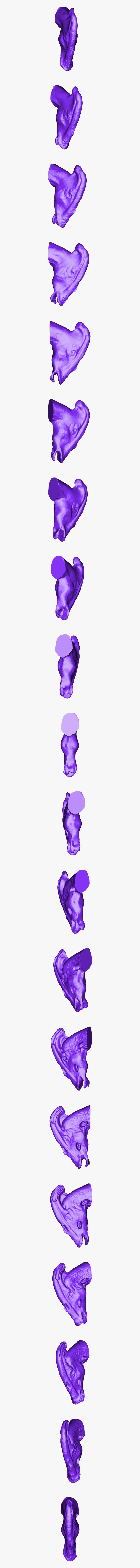 Clip Art, HD Png Download