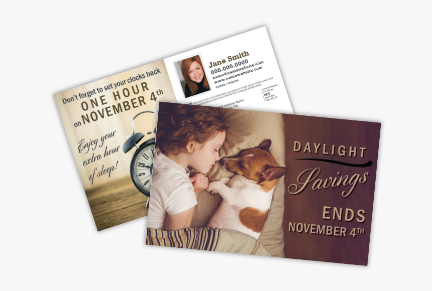 Companion Dog, HD Png Download