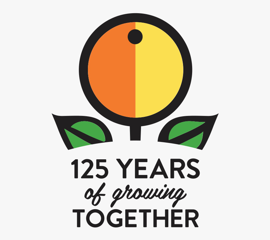 Sunkist 125th - Breadstick, HD Png Download