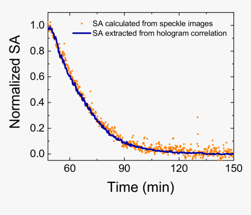 Diagram, HD Png Download