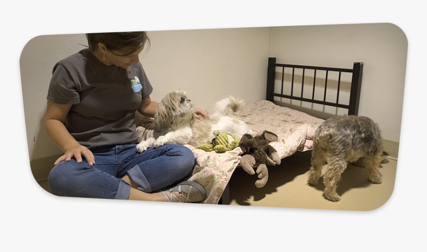 Our Slumber Party Is A Wonderful, Communal Take On, HD Png Download