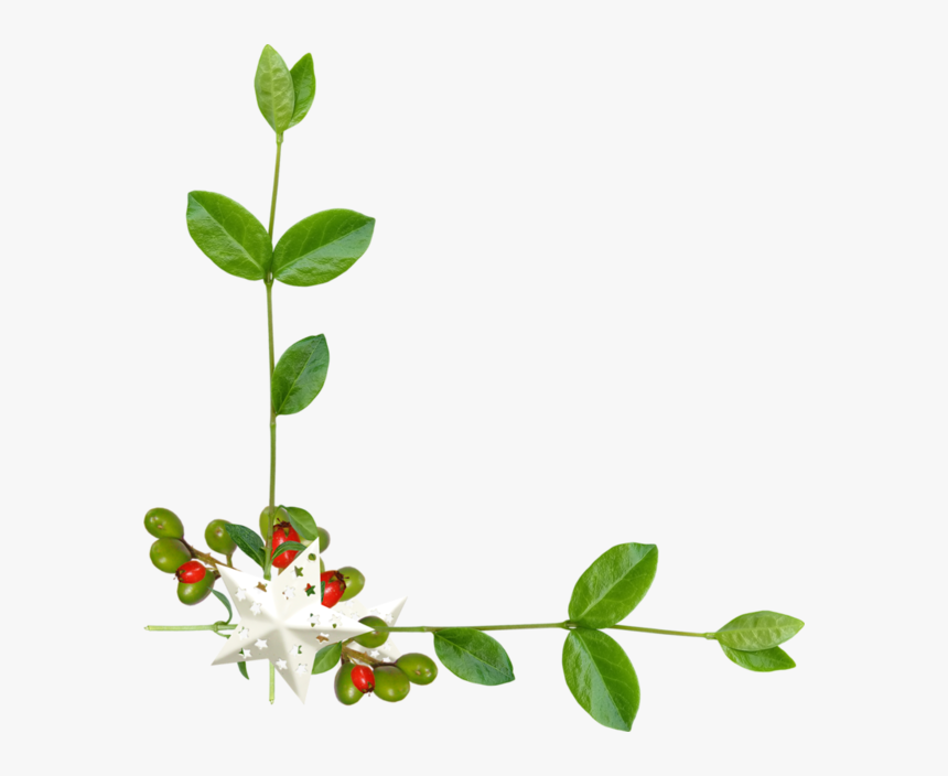 Şiir Süslemeleri, HD Png Download