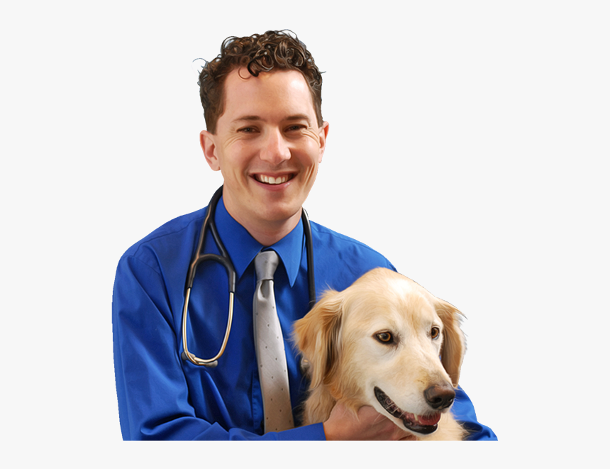 Companion Dog, HD Png Download