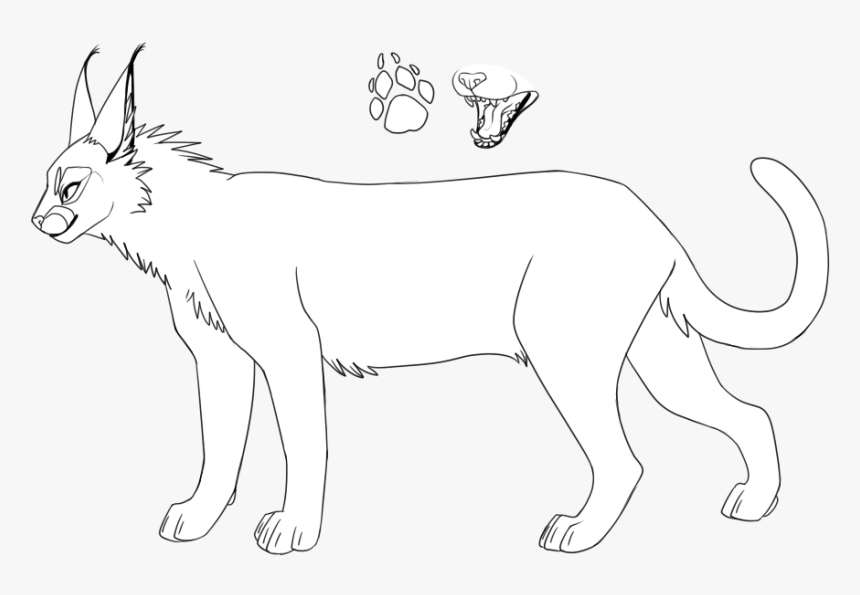 Bases And Lineart, HD Png Download