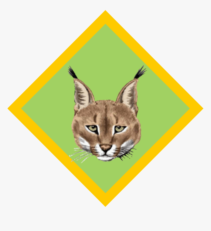 South African Scout Clipart - Cubs South Africa Badges, HD Png Download