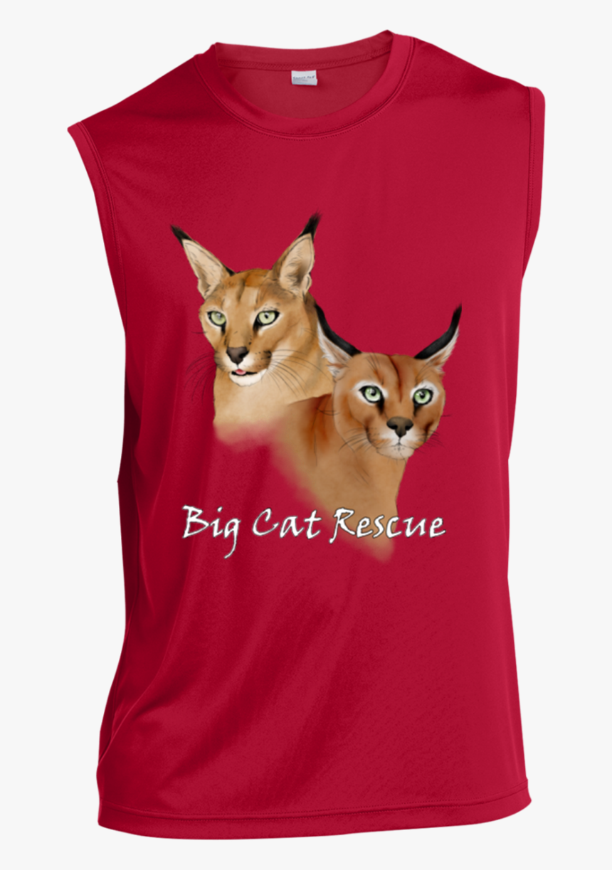 Bcr Chaos And Cyrus Caracal Color St352 Sport Tek Sleeveless - Cafe 23 Kolkata, HD Png Download