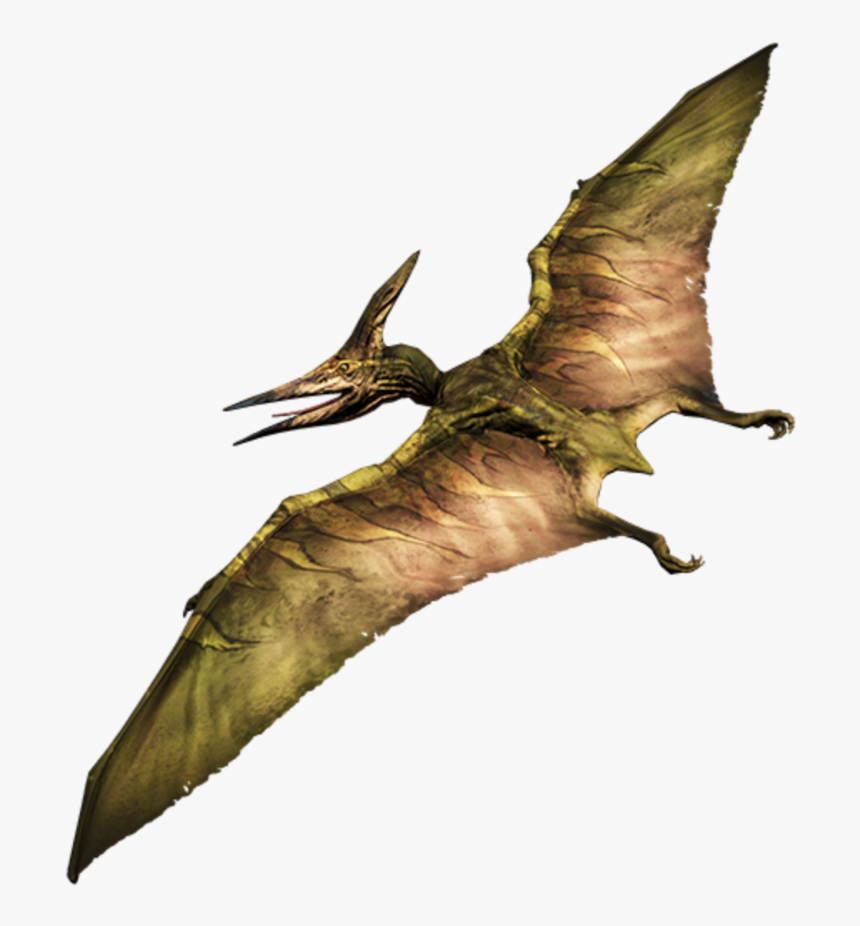 Flying Crows Png, Transparent Png