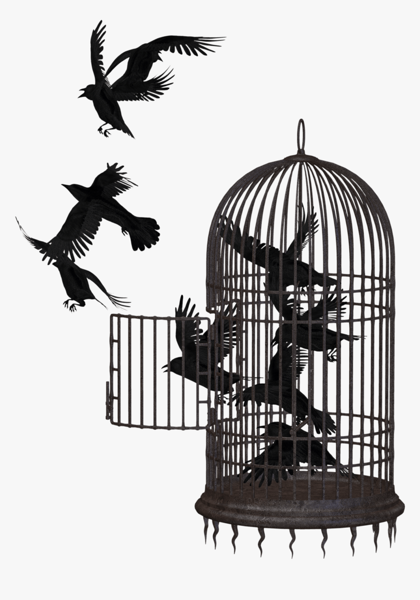 Birds In A Cage Png, Transparent Png