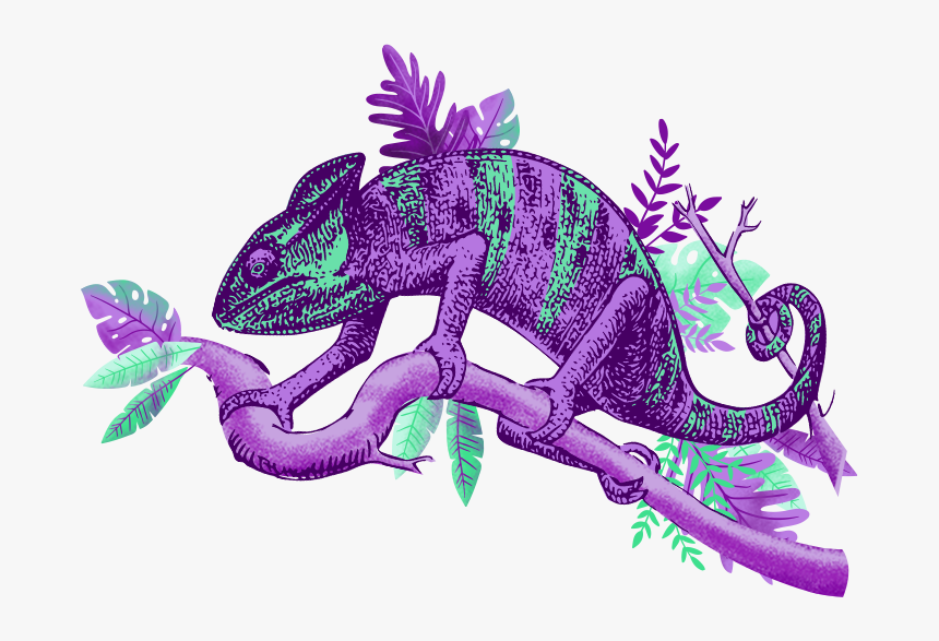 Iguana, HD Png Download