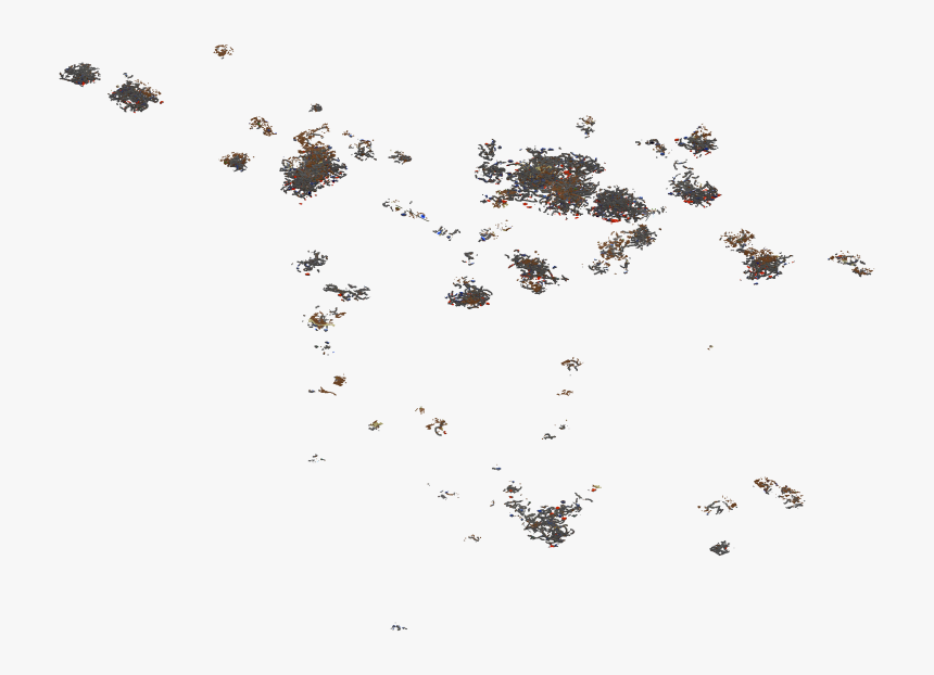 Insect, HD Png Download