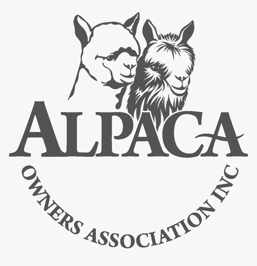 Northern Ireland Football Badge, HD Png Download