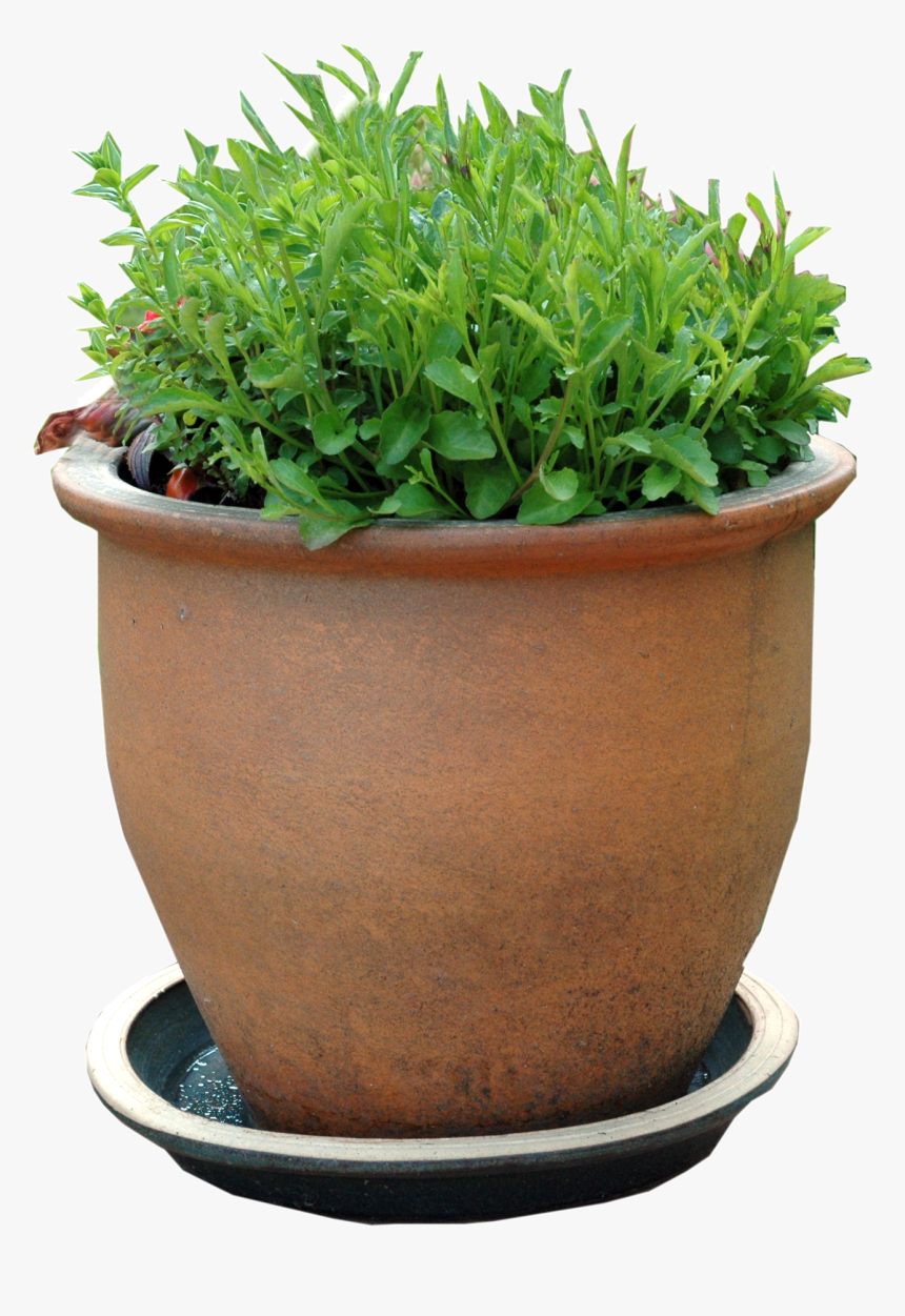 Picture - Flowerpot, HD Png Download
