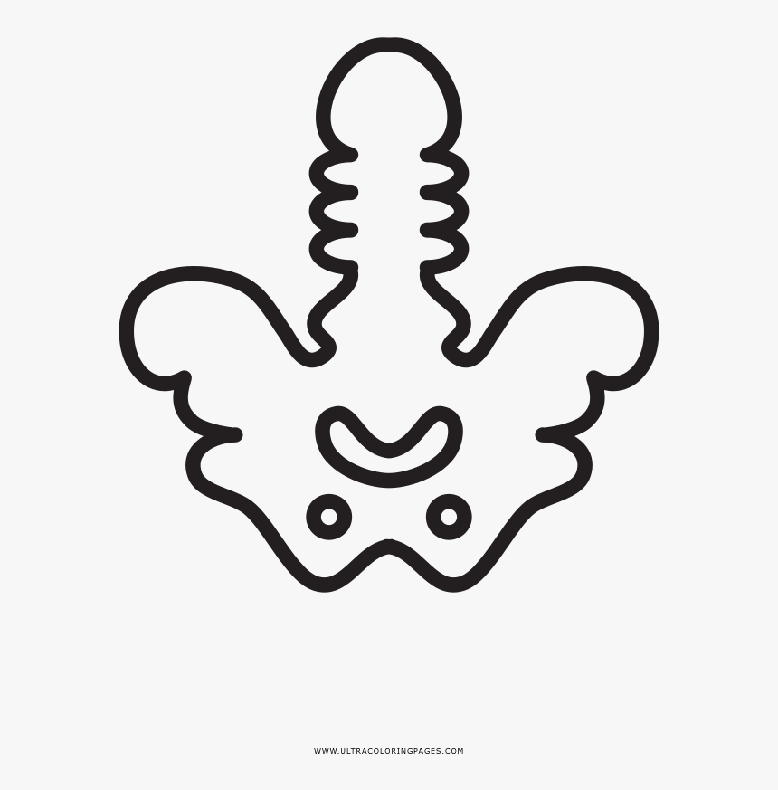 Hip Bones Coloring Page - Cadera Para Colorear, HD Png Download