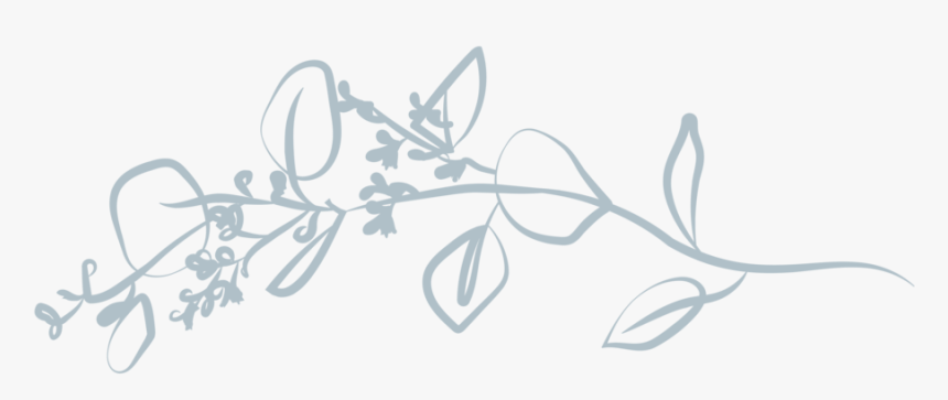 Slate Floral For Web-36 - Sketch, HD Png Download