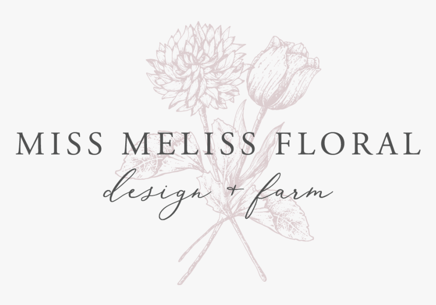 Logomeliss-01 - Calligraphy, HD Png Download