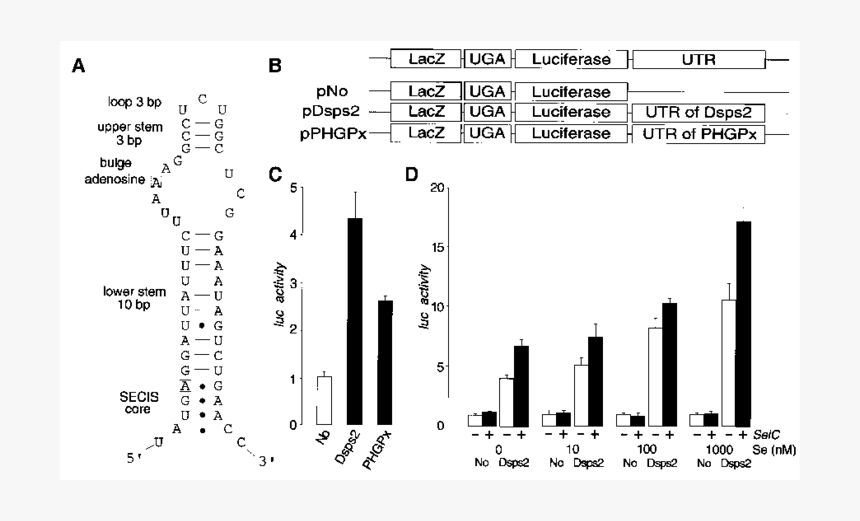 Diagram, HD Png Download