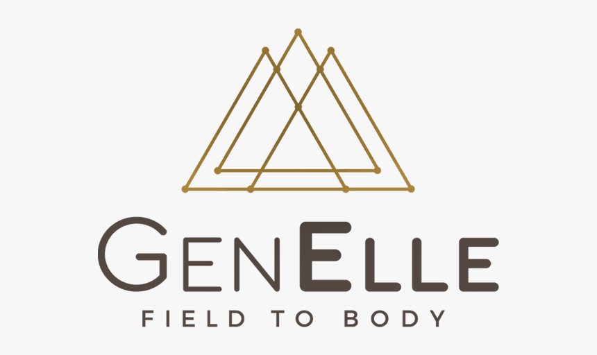 Logo Header Menu - Triangle, HD Png Download