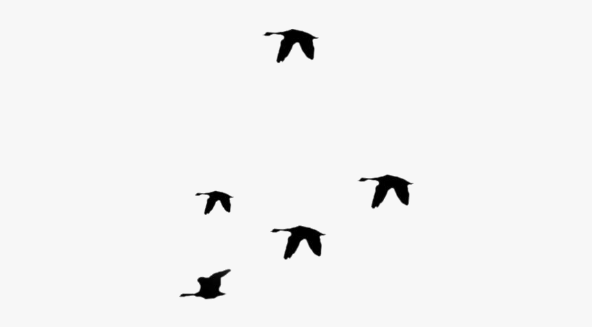 Birds Flying Away Png Transparent Images, Png Download