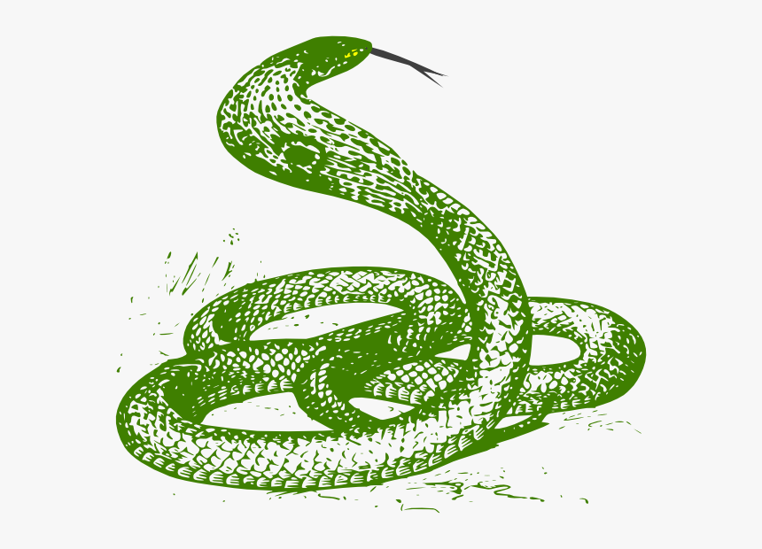 Green Snake Svg Clip Arts - Cobra Snake Drawing, HD Png Download