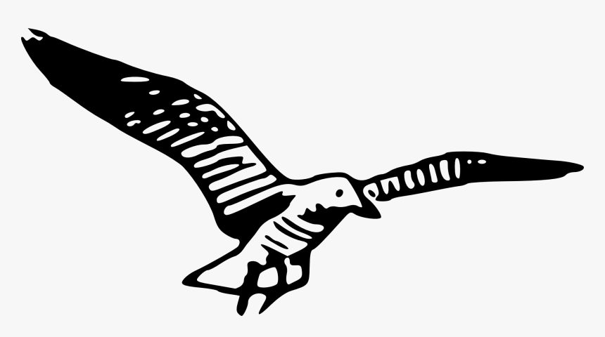 Seagull Graphic, HD Png Download