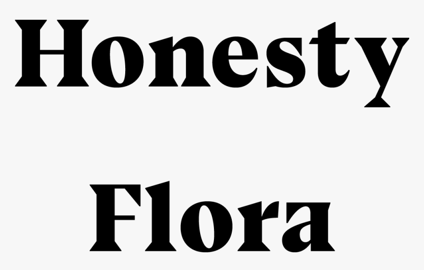 Graphics, HD Png Download