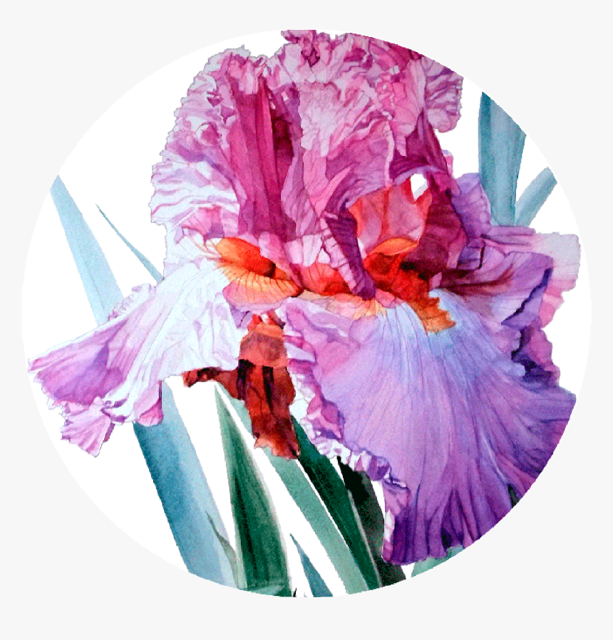 Round Ready To Hang Modern Art From Http - Greta Corens Art, HD Png Download