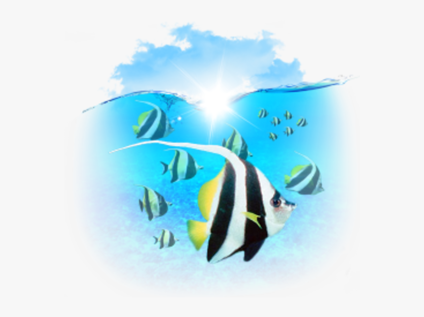 Marine Biology Clipart Computer Icons Clip Art - Portable Network Graphics, HD Png Download