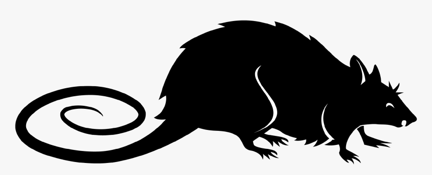 Rat, HD Png Download