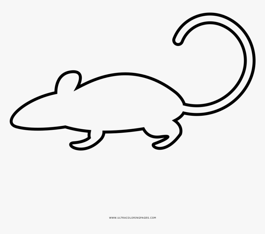 Rat Coloring Page - Line Art, HD Png Download