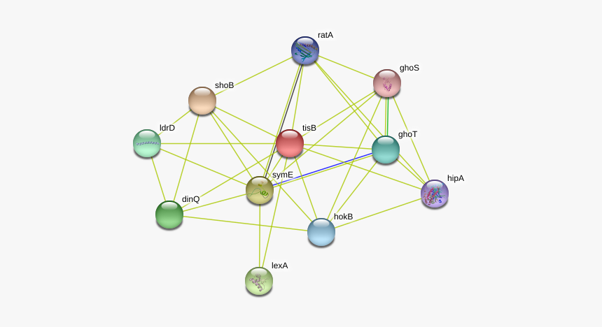 Tisb Protein, HD Png Download
