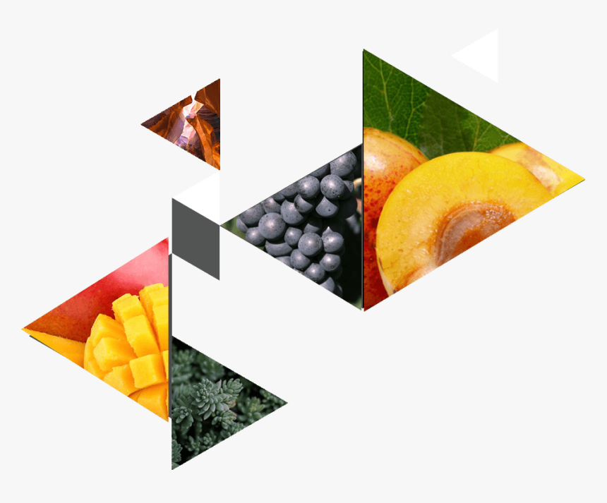 Clementine, HD Png Download