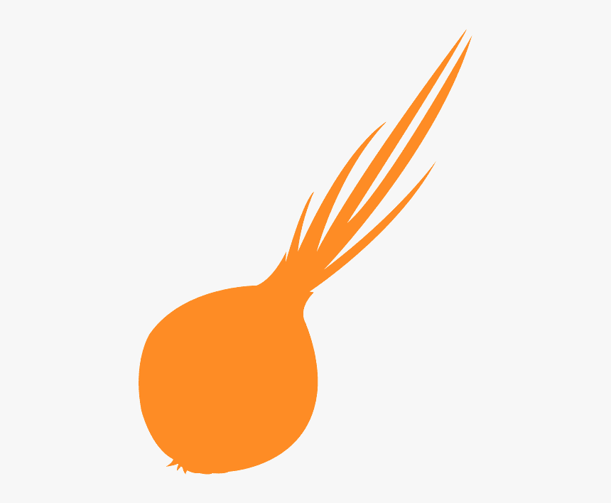 Silueta De Cebolla De Color, HD Png Download