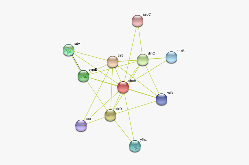 Shob Protein, HD Png Download