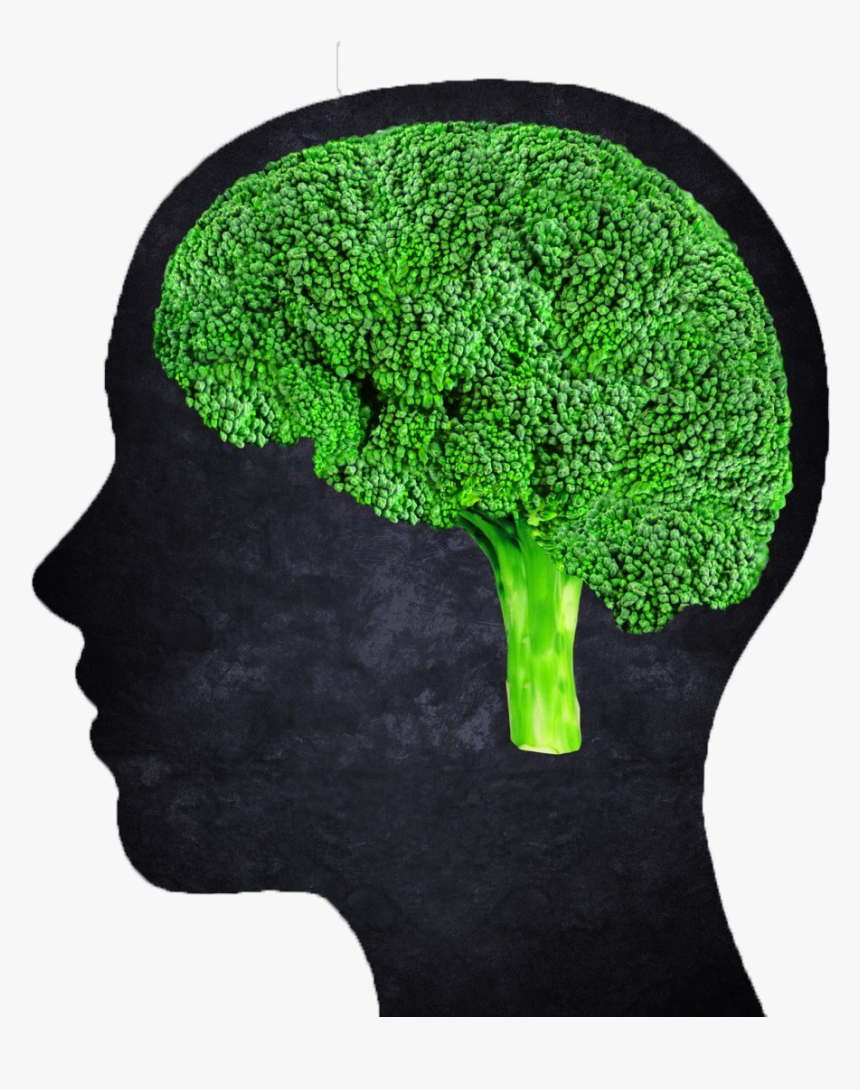 Dinner With The Dtr, HD Png Download