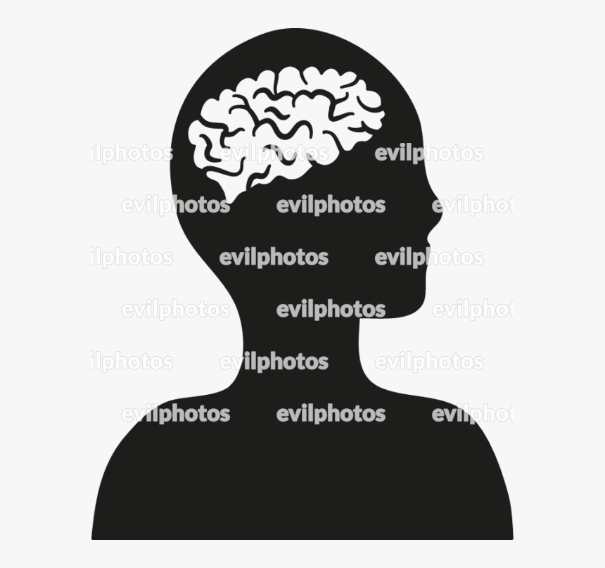 Brain Drawing Vector And Stock Photo - Drawing, HD Png Download
