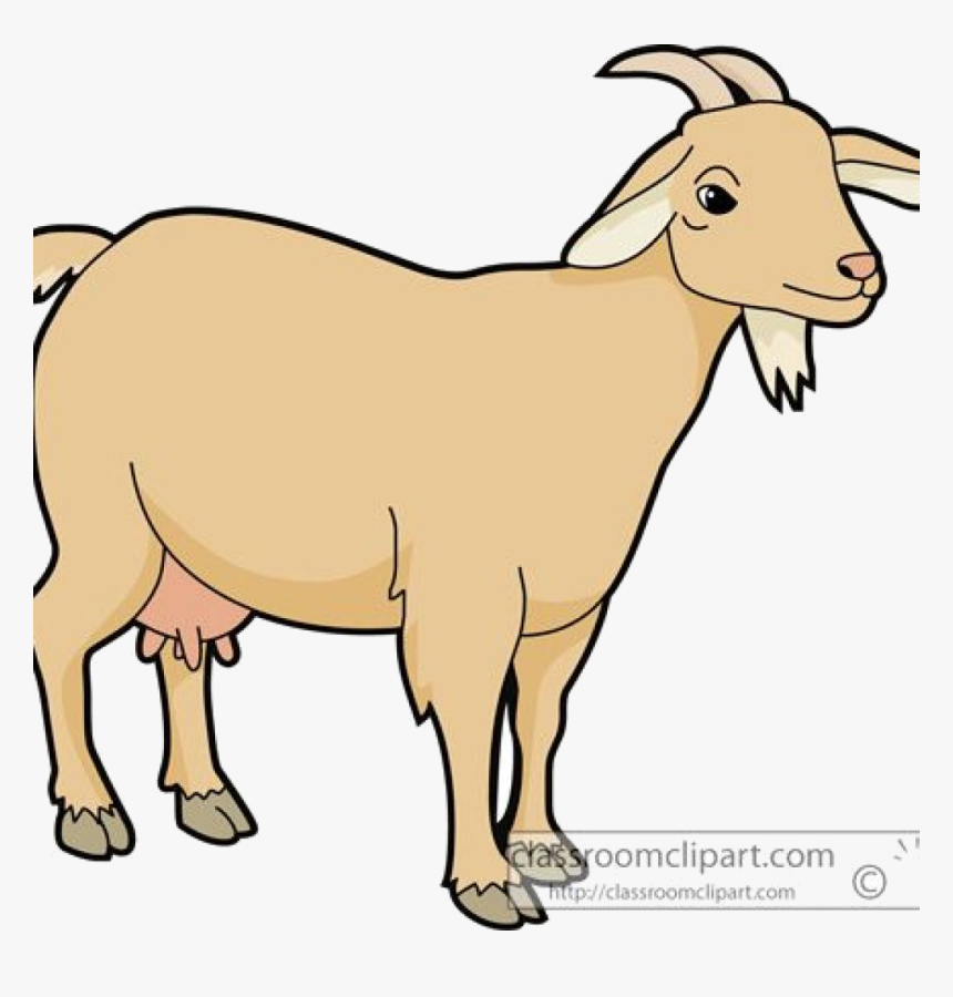 Goat Clipart To Clipartcow Goats Transparent Png - Clipart Image Of Goat, Png Download