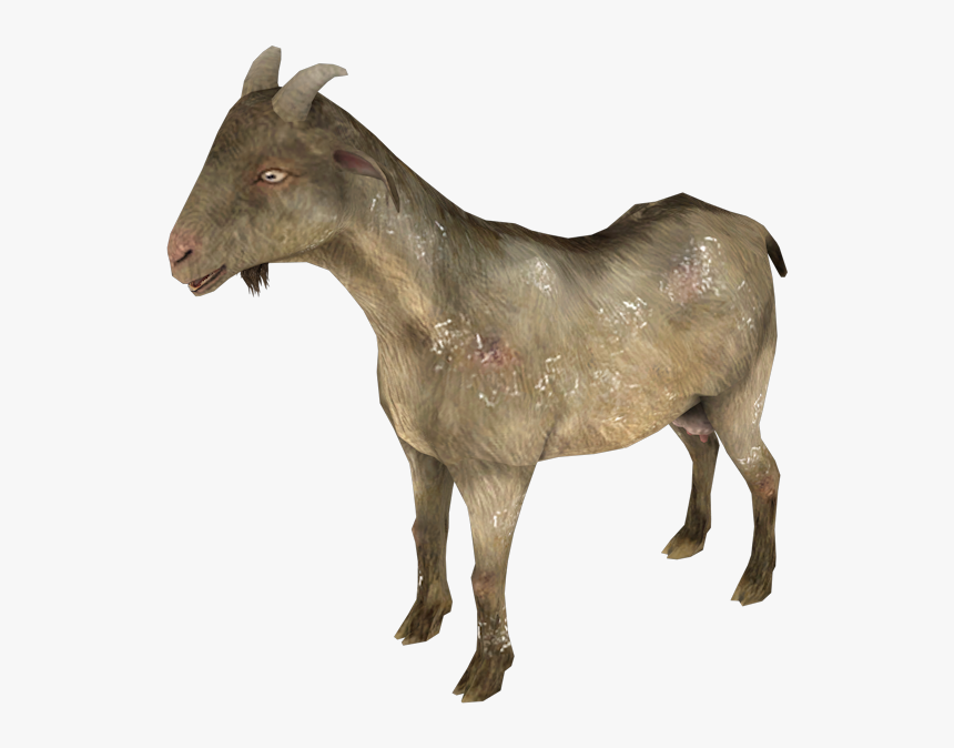 Goat, HD Png Download