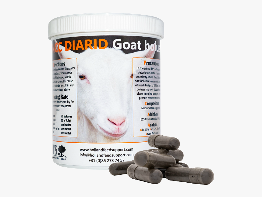 Geittransparant - Sheep, HD Png Download