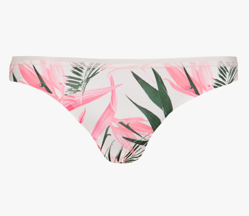 Panties, HD Png Download