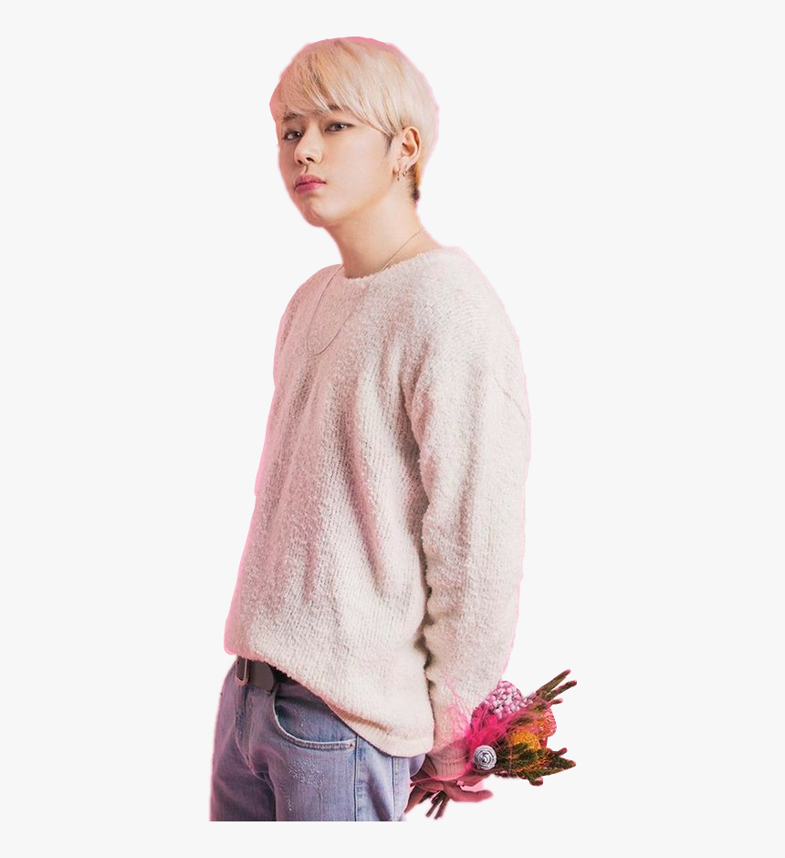 Zico Block Woo Jiho Woojiho - Zico Block B Pink, HD Png Download