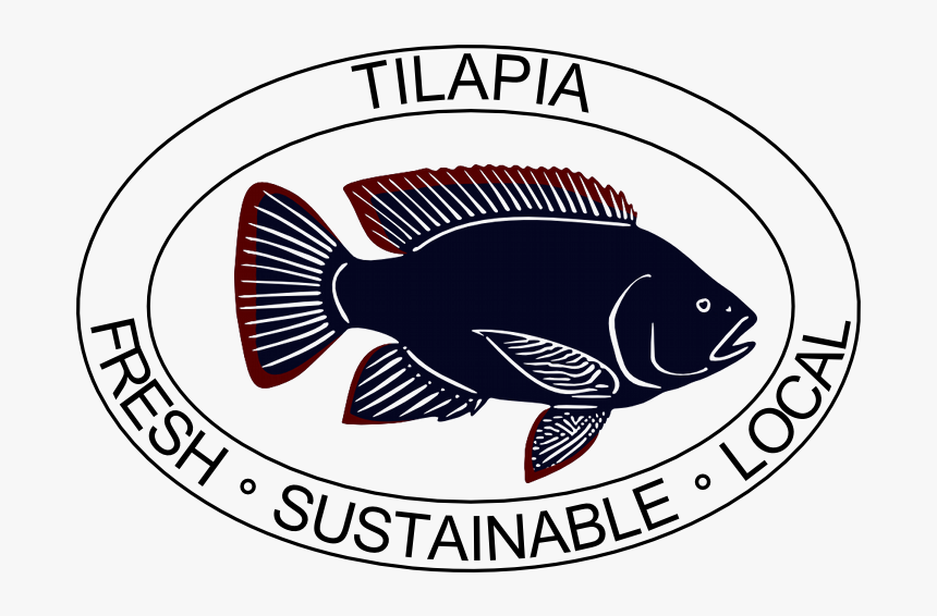 Tilapia, HD Png Download