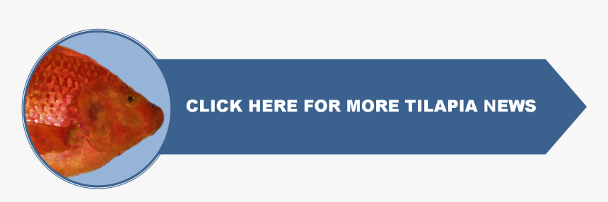 Main Page - Electric Blue, HD Png Download