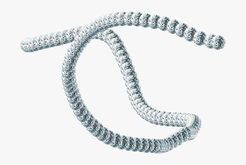 Necklace, HD Png Download