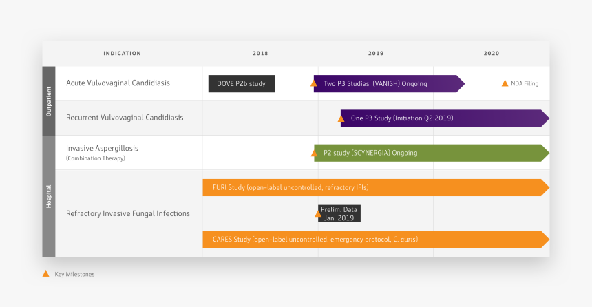 Screenshot, HD Png Download