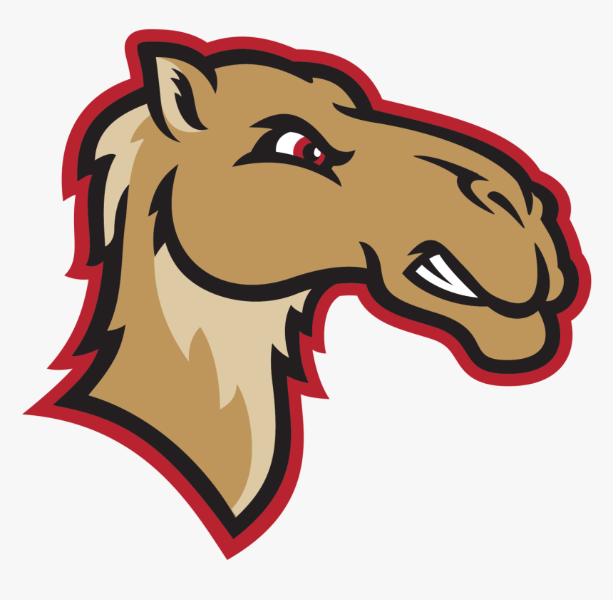 Loons Camels Baseball, HD Png Download