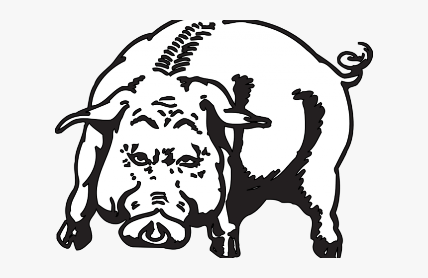 Skull Clipart Wild Boar - Angry Hog Png, Transparent Png