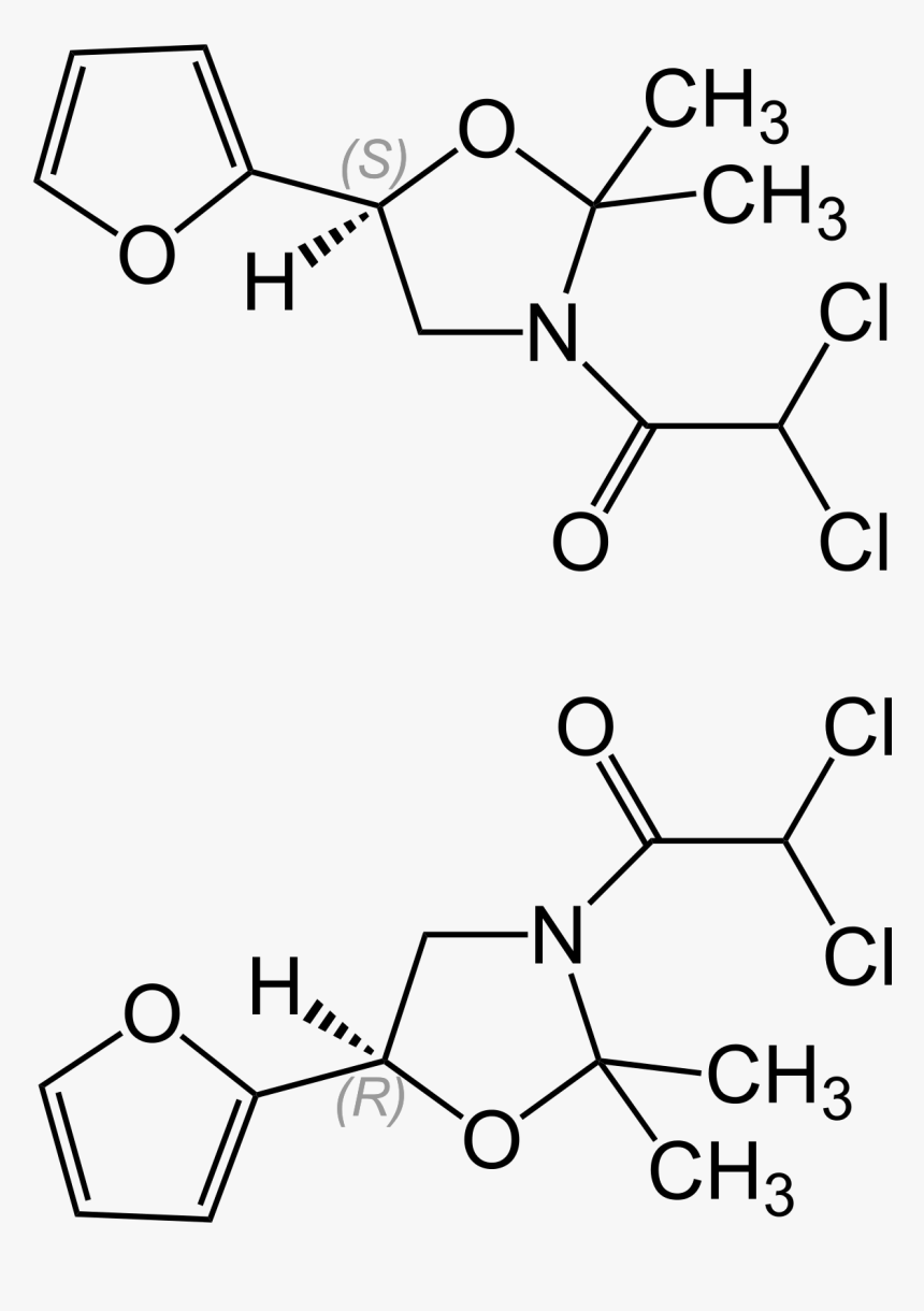 Dimethyl Tere Phthalate Structure, HD Png Download