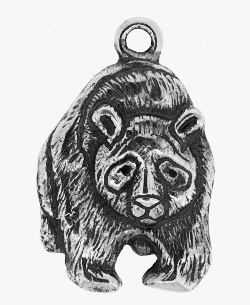 Grizzly Bear, HD Png Download